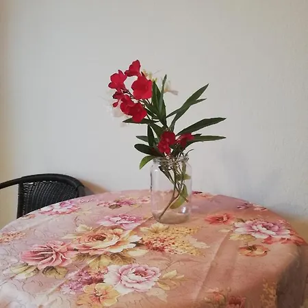 Anestis Άγιος Γεώργιος